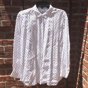 Everlane Oversized Cupro Blouse